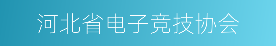 河北省电子竞技协会的同义词