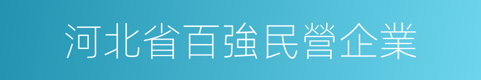 河北省百強民營企業的同義詞