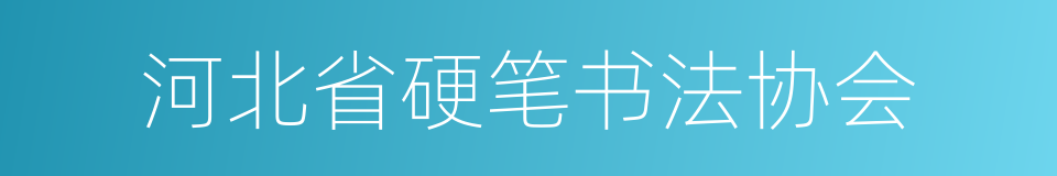 河北省硬笔书法协会的同义词