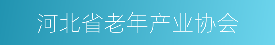 河北省老年产业协会的同义词