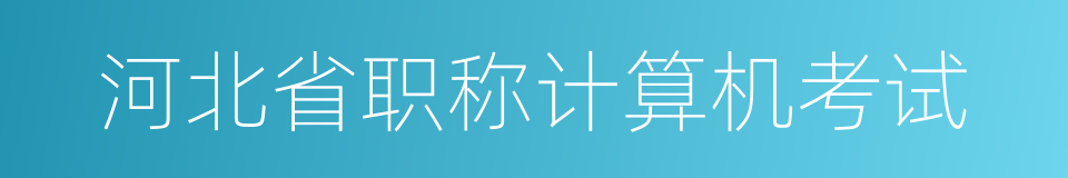 河北省职称计算机考试的同义词