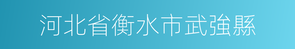 河北省衡水市武強縣的同義詞