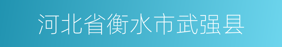 河北省衡水市武强县的同义词