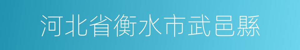 河北省衡水市武邑縣的同義詞