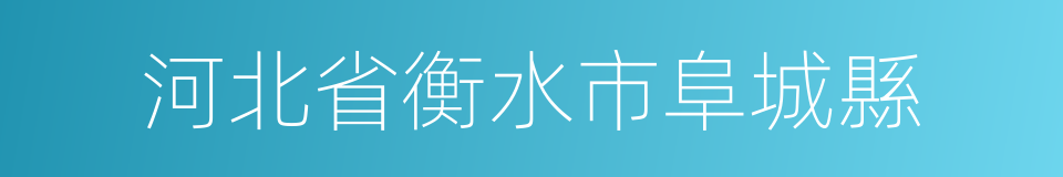 河北省衡水市阜城縣的同義詞