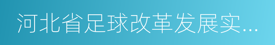 河北省足球改革发展实施意见的同义词