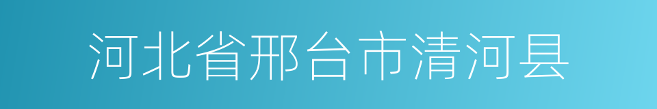 河北省邢台市清河县的同义词