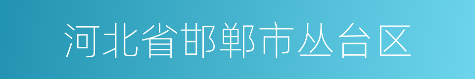 河北省邯郸市丛台区的同义词