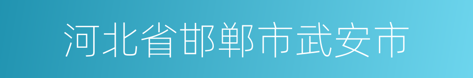 河北省邯郸市武安市的同义词