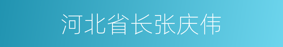 河北省长张庆伟的同义词