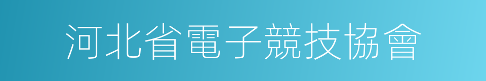 河北省電子競技協會的同義詞