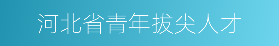 河北省青年拔尖人才的同义词