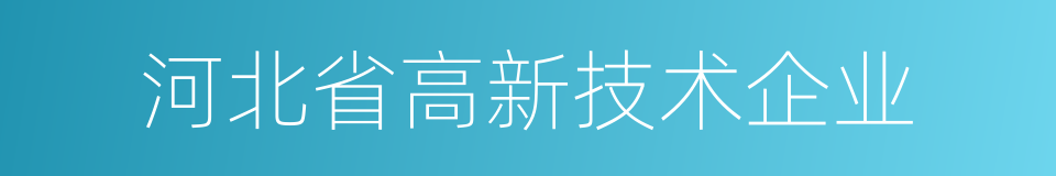 河北省高新技术企业的同义词