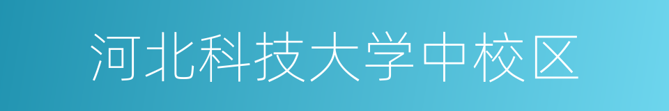 河北科技大学中校区的同义词