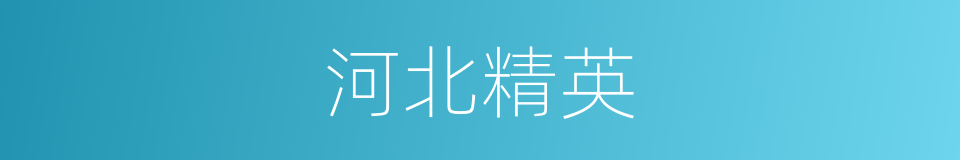 河北精英的同义词