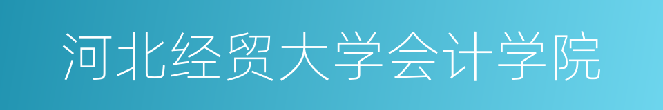 河北经贸大学会计学院的同义词