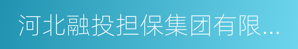 河北融投担保集团有限公司的同义词