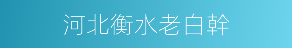 河北衡水老白幹的同義詞