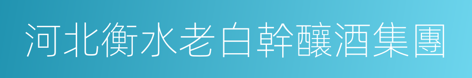 河北衡水老白幹釀酒集團的同義詞