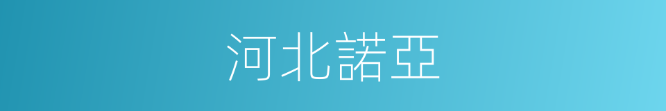 河北諾亞的同義詞