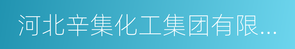 河北辛集化工集团有限责任公司的同义词