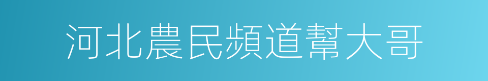 河北農民頻道幫大哥的同義詞