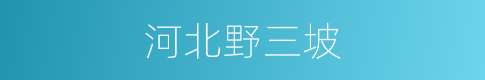 河北野三坡的同义词