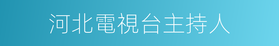河北電視台主持人的同義詞