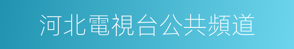 河北電視台公共頻道的同義詞