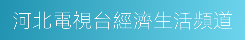 河北電視台經濟生活頻道的同義詞