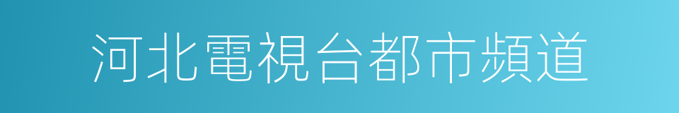 河北電視台都市頻道的同義詞