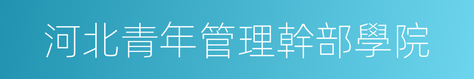 河北青年管理幹部學院的同義詞