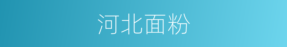 河北面粉的同义词