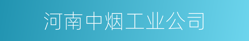 河南中烟工业公司的同义词