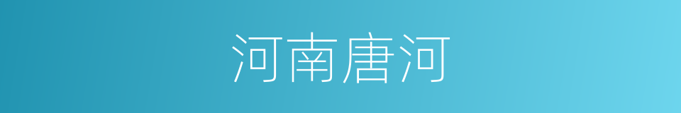 河南唐河的同义词