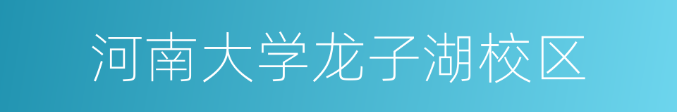 河南大学龙子湖校区的同义词