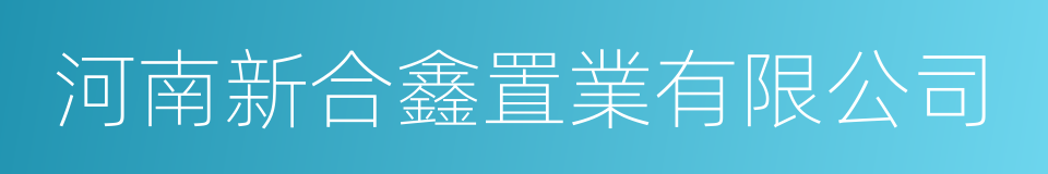 河南新合鑫置業有限公司的同義詞