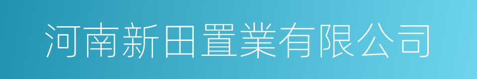 河南新田置業有限公司的同義詞