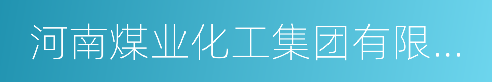 河南煤业化工集团有限责任公司的同义词