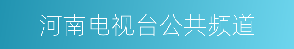 河南电视台公共频道的同义词