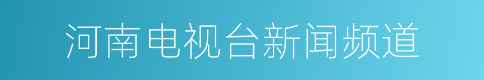 河南电视台新闻频道的同义词