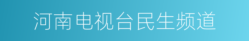 河南电视台民生频道的同义词