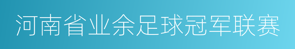 河南省业余足球冠军联赛的同义词