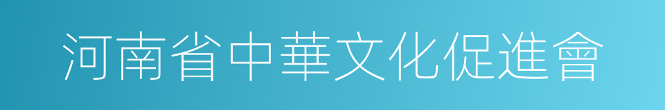 河南省中華文化促進會的同義詞