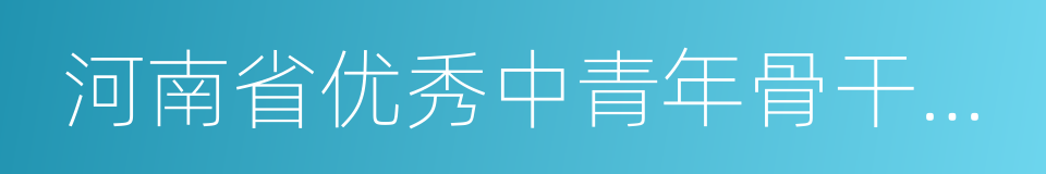 河南省优秀中青年骨干教师的同义词