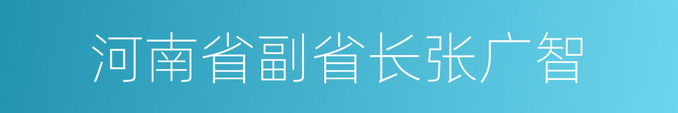 河南省副省长张广智的同义词