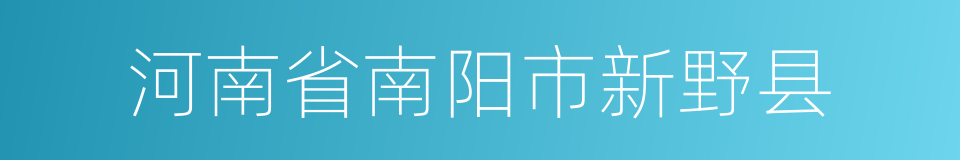 河南省南阳市新野县的同义词