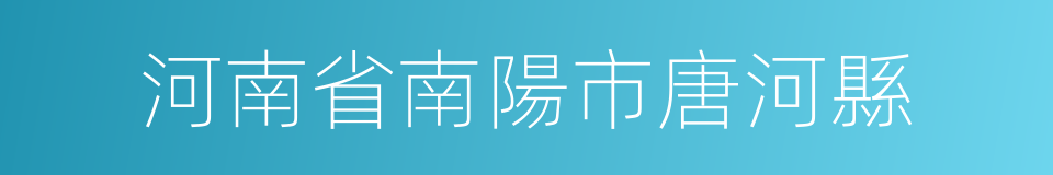 河南省南陽市唐河縣的同義詞