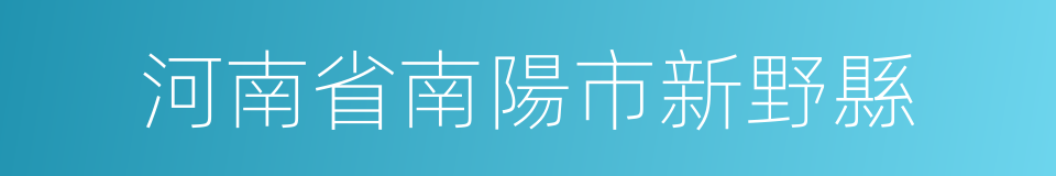 河南省南陽市新野縣的同義詞