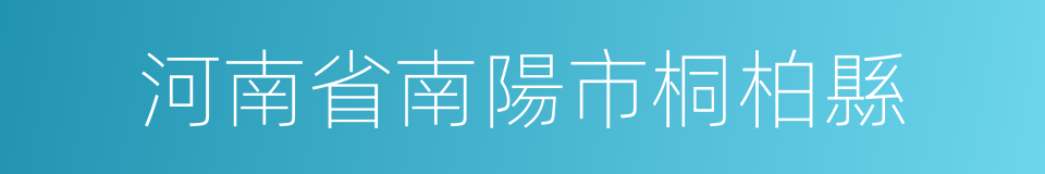 河南省南陽市桐柏縣的同義詞